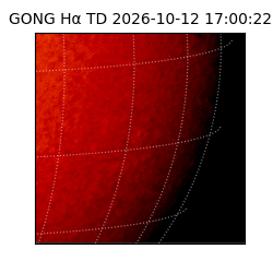 gong - 2026-10-12T17:00:22