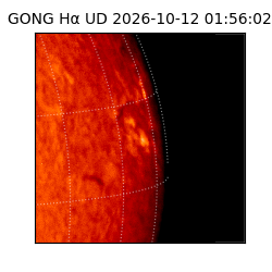 gong - 2026-10-12T01:56:02