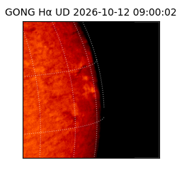 gong - 2026-10-12T09:00:02