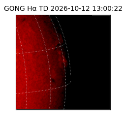 gong - 2026-10-12T13:00:22