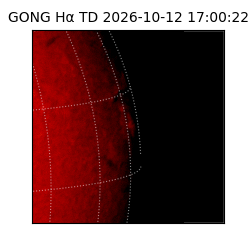 gong - 2026-10-12T17:00:22