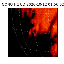 gong - 2026-10-12T01:56:02