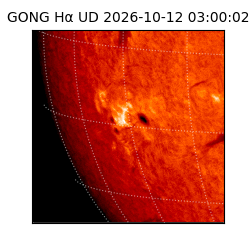 gong - 2026-10-12T03:00:02