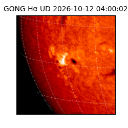 gong - 2026-10-12T04:00:02