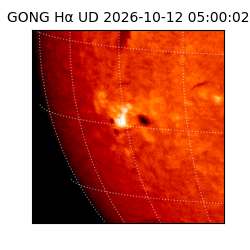 gong - 2026-10-12T05:00:02