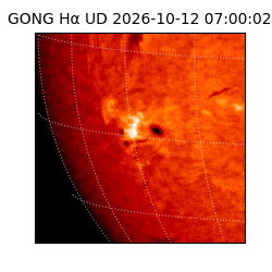 gong - 2026-10-12T07:00:02