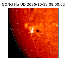 gong - 2026-10-12T08:00:02