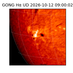gong - 2026-10-12T09:00:02