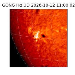 gong - 2026-10-12T11:00:02