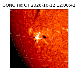 gong - 2026-10-12T12:00:42
