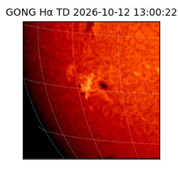 gong - 2026-10-12T13:00:22