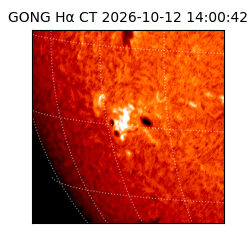 gong - 2026-10-12T14:00:42
