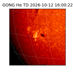 gong - 2026-10-12T16:00:22