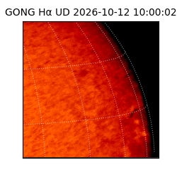 gong - 2026-10-12T10:00:02