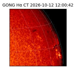 gong - 2026-10-12T12:00:42