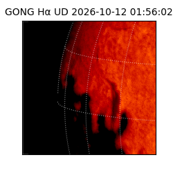 gong - 2026-10-12T01:56:02