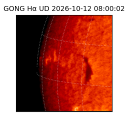 gong - 2026-10-12T08:00:02