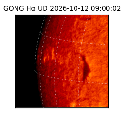 gong - 2026-10-12T09:00:02