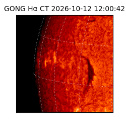 gong - 2026-10-12T12:00:42