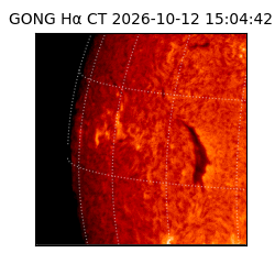 gong - 2026-10-12T15:04:42