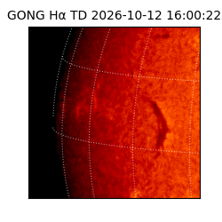 gong - 2026-10-12T16:00:22