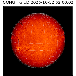 gong - 2026-10-12T02:00:02