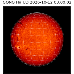 gong - 2026-10-12T03:00:02