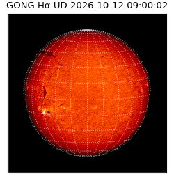 gong - 2026-10-12T09:00:02