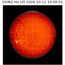 gong - 2026-10-12T10:00:02