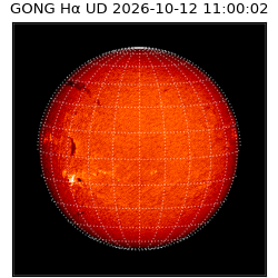 gong - 2026-10-12T11:00:02
