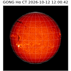 gong - 2026-10-12T12:00:42