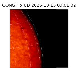 gong - 2026-10-13T09:01:02