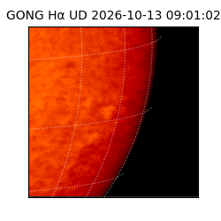 gong - 2026-10-13T09:01:02