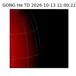 gong - 2026-10-13T11:00:22