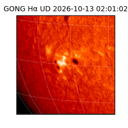 gong - 2026-10-13T02:01:02