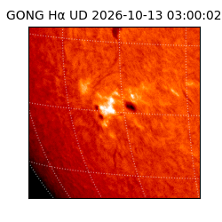 gong - 2026-10-13T03:00:02