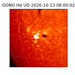 gong - 2026-10-13T08:00:02