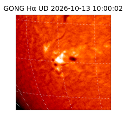 gong - 2026-10-13T10:00:02