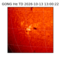 gong - 2026-10-13T13:00:22