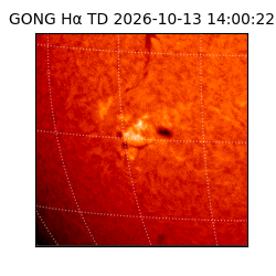 gong - 2026-10-13T14:00:22
