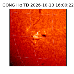 gong - 2026-10-13T16:00:22