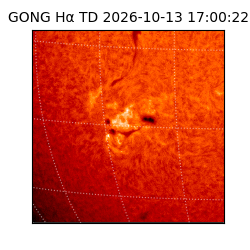gong - 2026-10-13T17:00:22