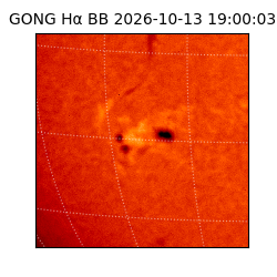 gong - 2026-10-13T19:00:03