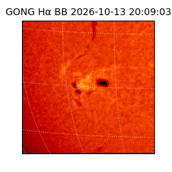 gong - 2026-10-13T20:09:03