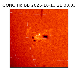 gong - 2026-10-13T21:00:03