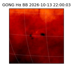 gong - 2026-10-13T22:00:03