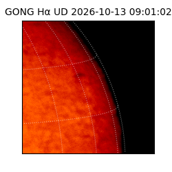 gong - 2026-10-13T09:01:02