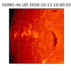gong - 2026-10-13T10:00:02