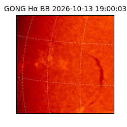gong - 2026-10-13T19:00:03