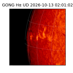 gong - 2026-10-13T02:01:02